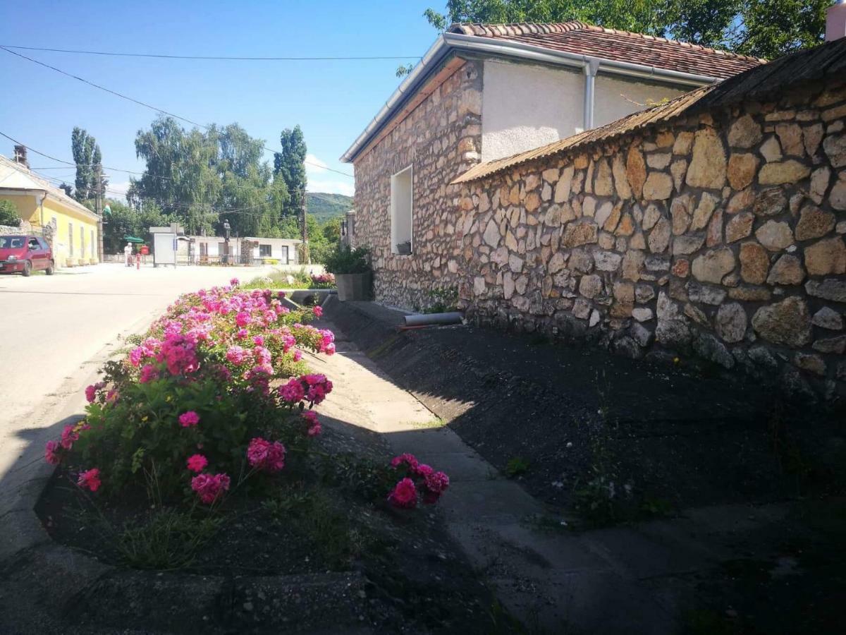 Patak Apartman, Diszel Тапольца Экстерьер фото